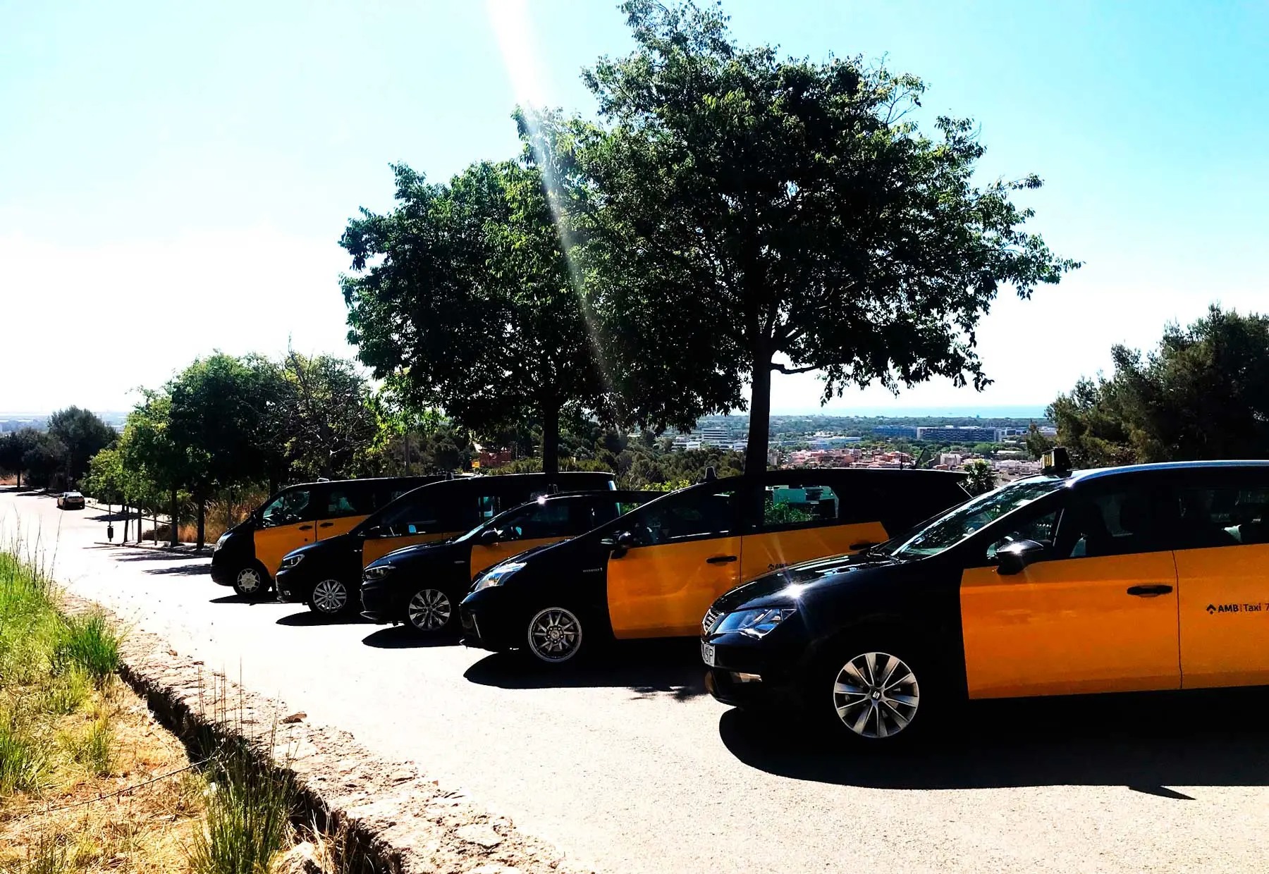 Flota de taxis de Castelldefels aparcada en mirador con vistas elevadas a la ciudad y al litoral